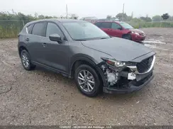 JM3KFBCL2R0505387 2024 MAZDA CX-5