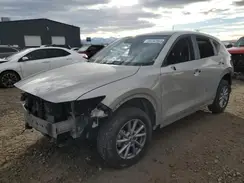 JM3KFBCL3R0505902 2024 MAZDA CX-5