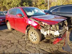 JM3KFBCL5R0422519 2024 MAZDA CX-5