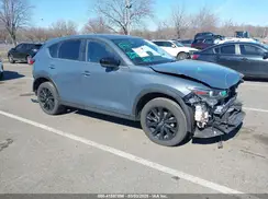 JM3KFBCM2R0399547 2024 MAZDA CX-5