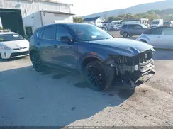 JM3KFBCM6R0369404 2024 MAZDA CX-5