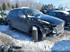 JM3KFBCM7R0517446 2024 MAZDA CX-5