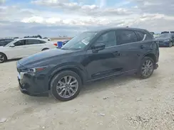 JM3KFBDL7R0447517 2024 MAZDA CX-5