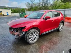 JM3KFBDM1K0687662 2019 MAZDA CX-5
