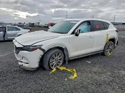 JM3KFBDM4K0502004 2019 MAZDA CX-5