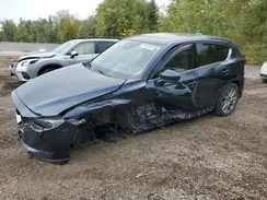 JM3KFBDM6K1546371 2019 MAZDA CX-5