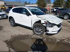 JM3KFBDM8K0596923 2019 MAZDA CX-5
