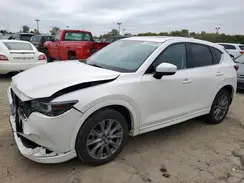 JM3KFBDM9R0396384 2024 MAZDA CX-5
