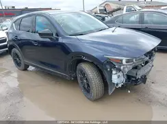 JM3KFBDY6R0519268 2024 MAZDA CX-5