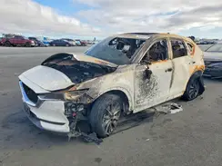 JM3KFBE2XK0655614 2019 MAZDA CX-5