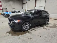 JM3KFBEL6R0537823 2024 MAZDA CX-5