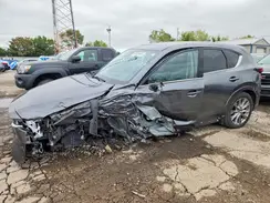 JM3KFBEL7R0435222 2024 MAZDA CX-5