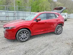 JM3KFBEL8R0529058 2024 MAZDA CX-5