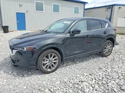 JM3KFBEM3S0646383 2025 MAZDA CX-5