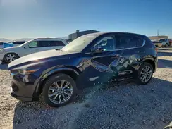 JM3KFBEM9S0715237 2025 MAZDA CX-5