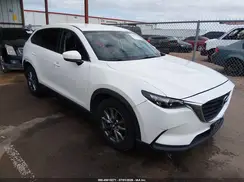 JM3TCABY0K0307918 2019 MAZDA CX-9
