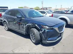JM3TCACYXK0312459 2019 MAZDA CX-9
