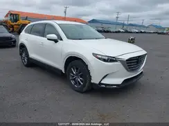 JM3TCBBY1K0304063 2019 MAZDA CX-9