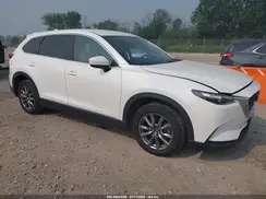 JM3TCBBY3K0316134 2019 MAZDA CX-9