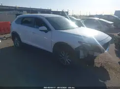 JM3TCBBYXH0129482 2017 MAZDA CX-9