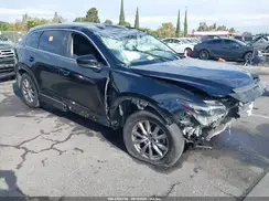 JM3TCBCY1K0310783 2019 MAZDA CX-9