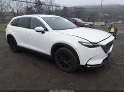 JM3TCBCY1K0329673 2019 MAZDA CX-9