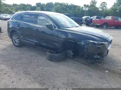 JM3TCBCY1K0330886 2019 MAZDA CX-9