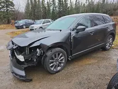 JM3TCBCY1N0620016 2022 MAZDA CX-9