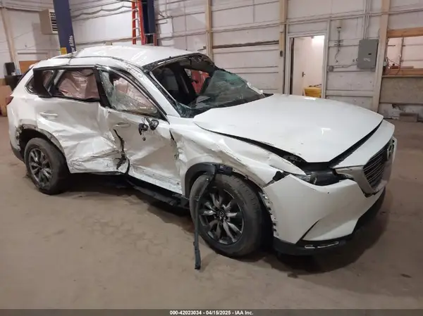 JM3TCBCY3G0114707 2016 MAZDA CX-9 - Image 1