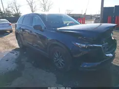 JM3TCBCY3L0422762 2020 MAZDA CX-9