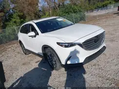 JM3TCBCY4K0315394 2019 MAZDA CX-9