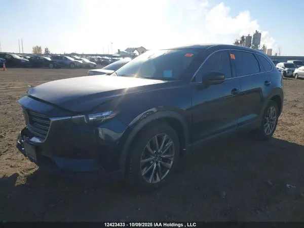 JM3TCBCY6K0300007 2019 MAZDA CX-9 - Image 2