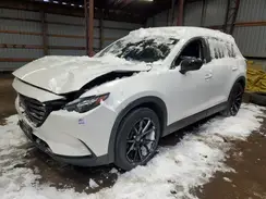 JM3TCBCY6M0528317 2021 MAZDA CX-9