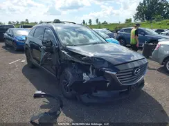 JM3TCBCY7G0100230 2016 MAZDA CX-9