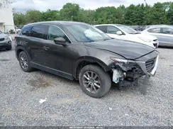 JM3TCBCY7K0310738 2019 MAZDA CX-9
