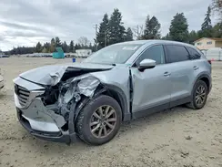 JM3TCBCY9K0313186 2019 MAZDA CX-9