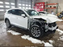 JM3TCBDY0K0334166 2019 MAZDA CX-9