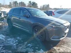 JM3TCBDY1G0100061 2016 MAZDA CX-9