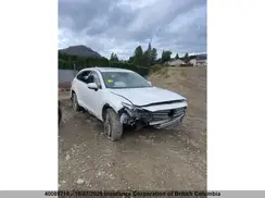JM3TCBDY2K0319507 2019 MAZDA CX-9
