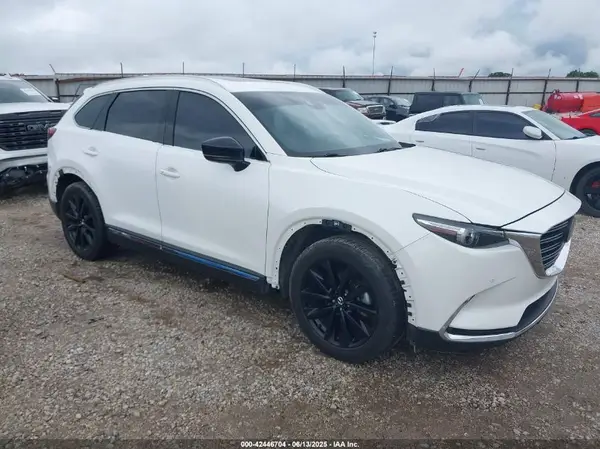 JM3TCBDY3L0404227 2020 MAZDA CX-9 - Image 1
