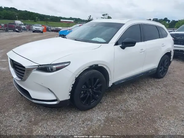 JM3TCBDY3L0404227 2020 MAZDA CX-9 - Image 2