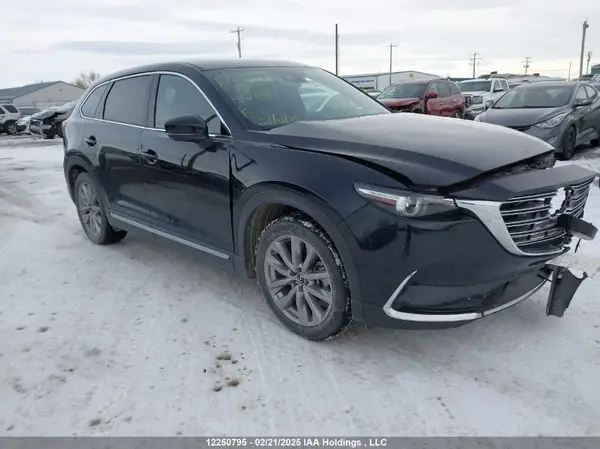 JM3TCBDY3L0412134 2020 MAZDA CX-9 - Image 1