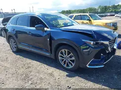 JM3TCBDY6K0335886 2019 MAZDA CX-9
