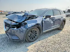 JM3TCBDY6M0503769 2021 MAZDA CX-9