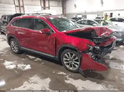 JM3TCBDY8K0335968 2019 MAZDA CX-9