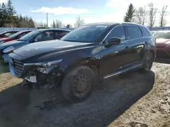 JM3TCBDY9K0329483 2019 MAZDA CX-9