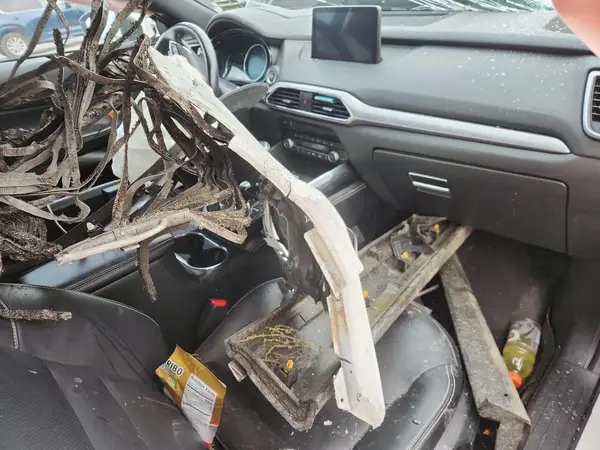 JM3TCBDY9L0409299 2020 MAZDA CX-9 - Image 8