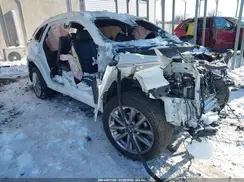 JM3TCBDY9M0537379 2021 MAZDA CX-9