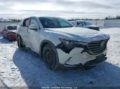JM3TCBEY0J0229821 2018 MAZDA CX-9