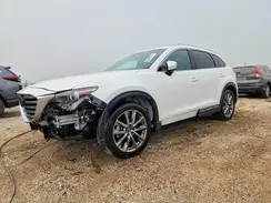 JM3TCBEY2L0407053 2020 MAZDA CX-9